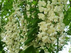 終天之慕: 외전 (저퀄 만화)