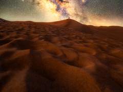 아주 느린 바다