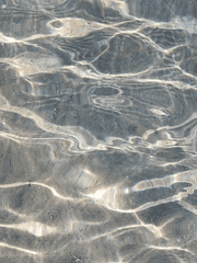 야옹이를 불러주세요