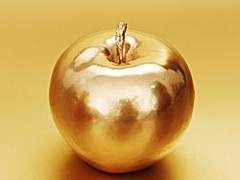 신화를 다시 되짚다/이도은