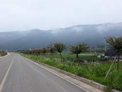 잠속으로 빠져들어 가네요