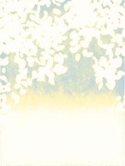 밤베르크의 연회