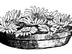 03. 문 뒤의 쿠즈미