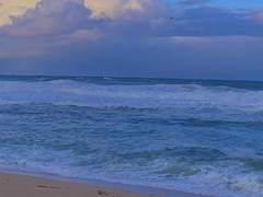 애절한 사랑고백은 다만 나를 불행하게 할 뿐이었다.