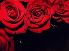 릴리안 플로렌스 [Lilian Florence] 26