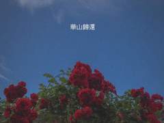 [화산귀환/조걸윤종] 차라리 나를 죽여라 03