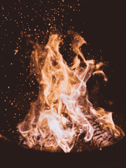 No me digas nada, por favor.