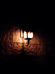 꿈의 세계에 빠져버리고