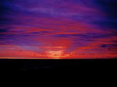 김록수는 사랑하지 않는다.