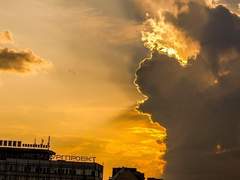 쌍둥이는 위험하니 전자만 오세요.