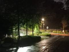 비 오는 날의 9시