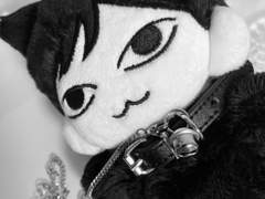 알리 익스프레스 플래티넘 회원은 무었을 샀을까.