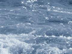 데워서 마실 술은 2차에 마시는 게 어때?