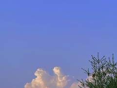 드림 한정 무컨펌 글 커미션