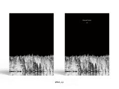 Sold out. Eternal Forest