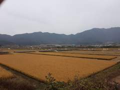 울력이란 걸 처음 해봤습니다!