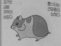 건망증
