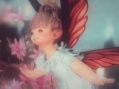 지쉐이드 프리셋 배포 2 (종료)