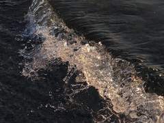 1차, 국내 2.5D 개인봇 커미션