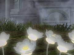 한 송이 마음을 선물할게요.