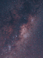 소소한 감상과 후기들