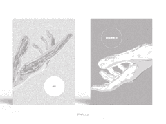 Sold out. 불통하는 손