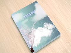 [테스배 민18b] 2017년 2월 17일 인포 및 예약