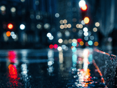 [세계관] 마법사의 유언