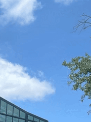 봄이라 쓰고 여름이라 부르는