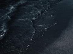 이 바다에는 부패한 시체의 맛이 날 거야.