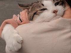 하이큐드림 이나리자키 역하렘 수인물 1