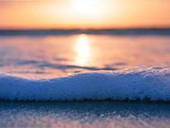 포말몽환泡沫夢幻