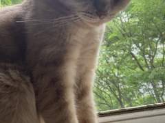 너는 내 안에서 부활을 소망하지