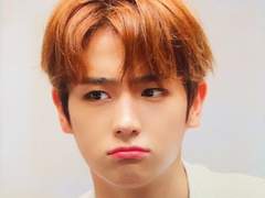 [쥬밀]피라미드