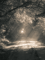 후기 모음 (6/16~)