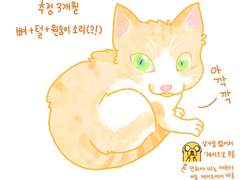 고양이한테 간택당한 만화