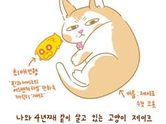 고양이의 애착인형