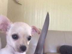 피드백에 대한 고찰(+한)