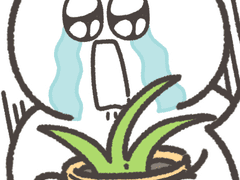 어쩌다 보니 바질 키우게 된 만화