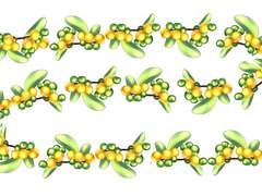 금땅꽈리_무료배포