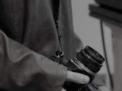 포인세티아/정진/03