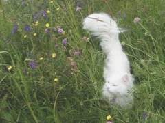 !!! 앞으로 최신글 볼 때 !!!