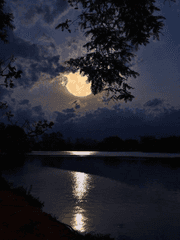 𝓦𝓱𝓪𝓽 𝓲𝓯...