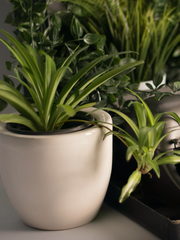 트친이 주는 문장으로 글쓰기