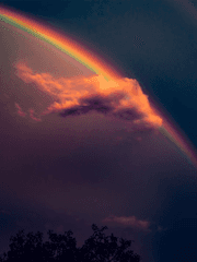 무지개 여섯 공성전