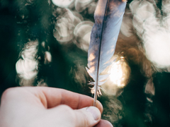 (재개장)글 커미션 공지