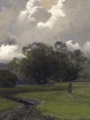 베타 이상 현상