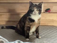 우동메밀님 커미션