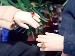 자캐오비츠 백업(15)