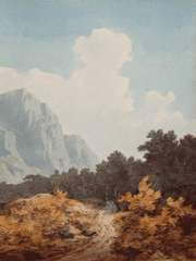 마녀와 괴물 이야기